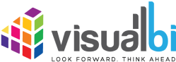 VisualBi Technology